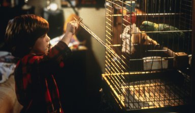 кадр из фильма Один дома 3 1997